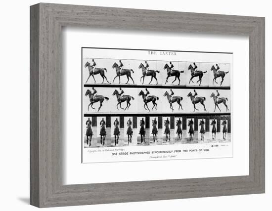 The Canter: One Stride Photographer Synchronously from Two Points of View, 1887, Illustration…-Eadweard Muybridge-Framed Photographic Print