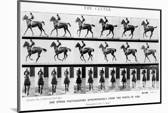 The Canter: One Stride Photographer Synchronously from Two Points of View, 1887, Illustration…-Eadweard Muybridge-Mounted Photographic Print