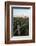 The Cape Cod Lighthouse,. Highland Light, in Truro, Massachusetts-Jerry and Marcy Monkman-Framed Photographic Print