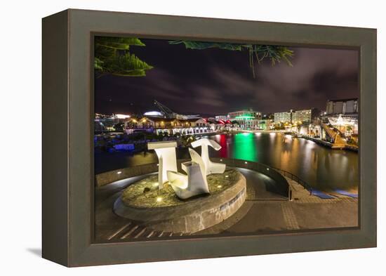 The Capital City of Wellington, Harbour at Night, North Island, New Zealand, Pacific-Michael Nolan-Framed Premier Image Canvas