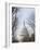 The Capitol Building, Capitol Hill, Washington D.C., United States of America, North America-Christian Kober-Framed Photographic Print
