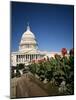 The Capitol Building from the East, Washington D.C., USA-Geoff Renner-Mounted Photographic Print