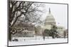 The Capitol in Snow - Washington Dc, United States of America-Orhan-Mounted Photographic Print