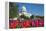 The Capitol with Colorful Tulips Foreground in Spring - Washington Dc, United States of America-Orhan-Framed Premier Image Canvas