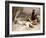 The Captive-Eanger Irving Couse-Framed Giclee Print