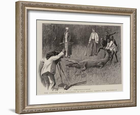 The Capture of a Crocodile in East Africa, Taking His Photograph-Alexander Stuart Boyd-Framed Giclee Print
