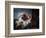 The Captured Kiss, Late 18th Century-Jean-Honore Fragonard-Framed Giclee Print