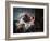 The Captured Kiss, Late 18th Century-Jean-Honore Fragonard-Framed Giclee Print