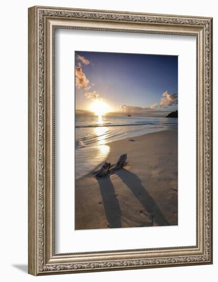 The Caribbean Sunset Frames the Remains of Tree Trunks on Ffryes Beach, Antigua-Roberto Moiola-Framed Photographic Print