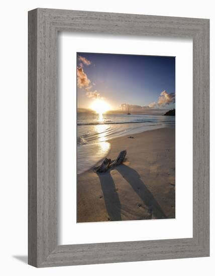 The Caribbean Sunset Frames the Remains of Tree Trunks on Ffryes Beach, Antigua-Roberto Moiola-Framed Photographic Print