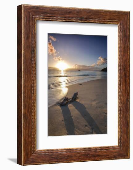 The Caribbean Sunset Frames the Remains of Tree Trunks on Ffryes Beach, Antigua-Roberto Moiola-Framed Photographic Print