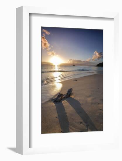 The Caribbean Sunset Frames the Remains of Tree Trunks on Ffryes Beach, Antigua-Roberto Moiola-Framed Photographic Print