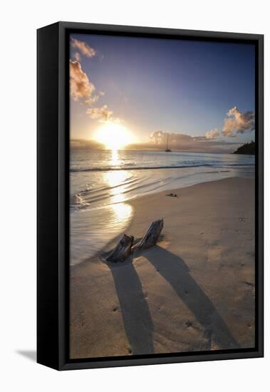 The Caribbean Sunset Frames the Remains of Tree Trunks on Ffryes Beach, Antigua-Roberto Moiola-Framed Premier Image Canvas