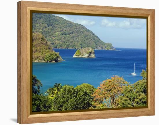 The Caribbean, Trinidad and Tobago, Tobago Island-Christian Kober-Framed Premier Image Canvas