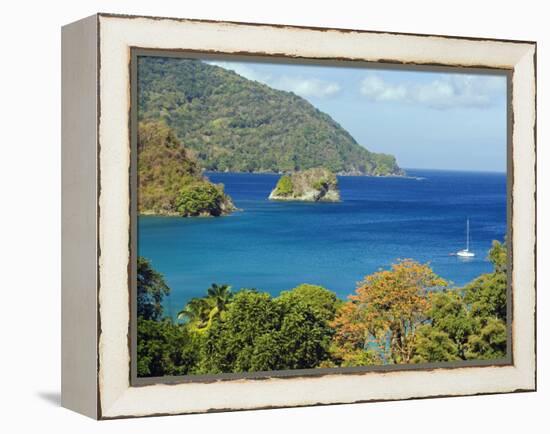 The Caribbean, Trinidad and Tobago, Tobago Island-Christian Kober-Framed Premier Image Canvas