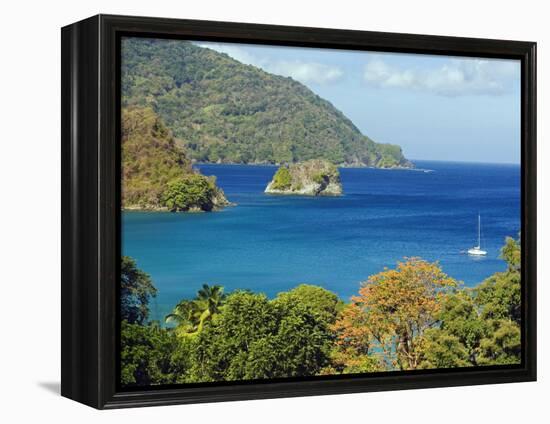 The Caribbean, Trinidad and Tobago, Tobago Island-Christian Kober-Framed Premier Image Canvas