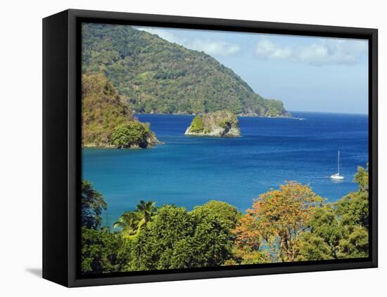 The Caribbean, Trinidad and Tobago, Tobago Island-Christian Kober-Framed Premier Image Canvas