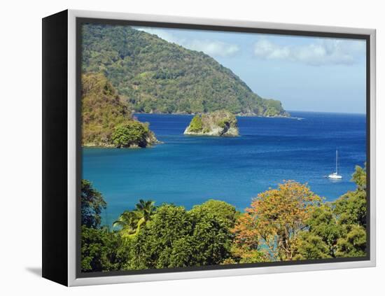 The Caribbean, Trinidad and Tobago, Tobago Island-Christian Kober-Framed Premier Image Canvas