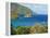 The Caribbean, Trinidad and Tobago, Tobago Island-Christian Kober-Framed Premier Image Canvas