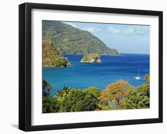 The Caribbean, Trinidad and Tobago, Tobago Island-Christian Kober-Framed Photographic Print