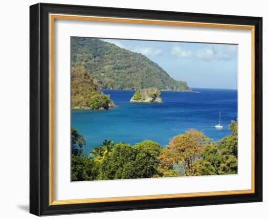 The Caribbean, Trinidad and Tobago, Tobago Island-Christian Kober-Framed Photographic Print