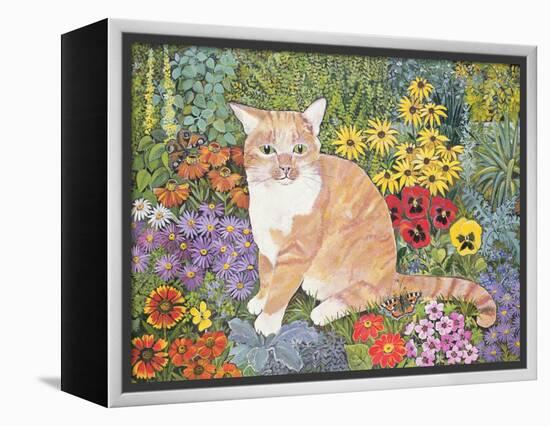 The Carpenter's Cat-Hilary Jones-Framed Premier Image Canvas