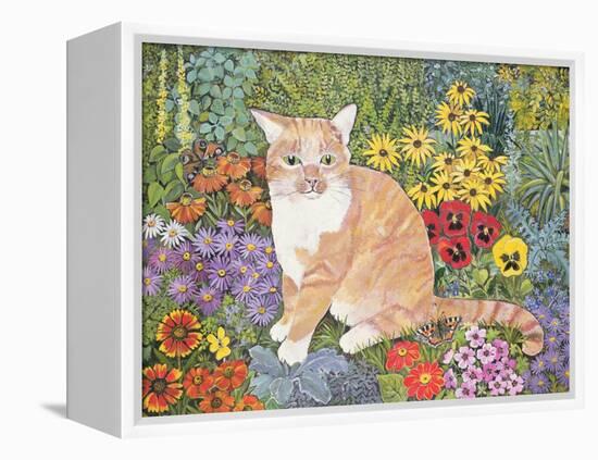 The Carpenter's Cat-Hilary Jones-Framed Premier Image Canvas