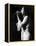 The Carpenters-null-Framed Stretched Canvas