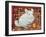 The Carpet-Chinchilla, 1992-Ditz-Framed Giclee Print