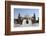 The Carved White Marble Jain Swaminarayan Temple, Gondal, Gujarat, India, Asia-Annie Owen-Framed Photographic Print