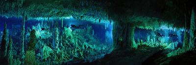 The Cascade Room Leads Divers Deeper Into Dan S Cave On Abaco Island Photographic Print By Wes C Skiles Art Com