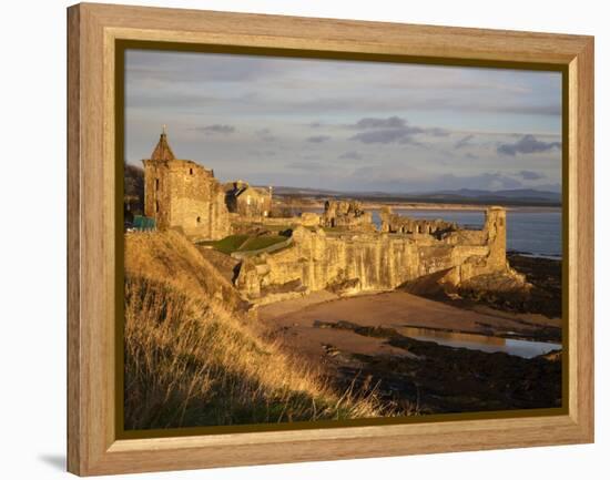 The Castle at Sunrise, St Andrews, Fife, Scotland-Mark Sunderland-Framed Premier Image Canvas