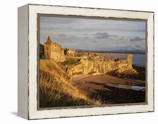 The Castle at Sunrise, St Andrews, Fife, Scotland-Mark Sunderland-Framed Premier Image Canvas