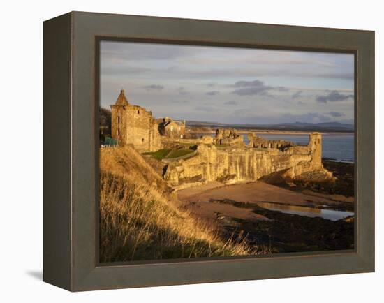 The Castle at Sunrise, St Andrews, Fife, Scotland-Mark Sunderland-Framed Premier Image Canvas