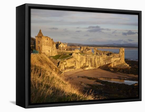 The Castle at Sunrise, St Andrews, Fife, Scotland-Mark Sunderland-Framed Premier Image Canvas