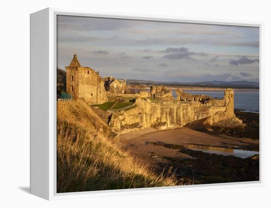 The Castle at Sunrise, St Andrews, Fife, Scotland-Mark Sunderland-Framed Premier Image Canvas