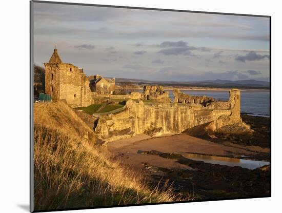 The Castle at Sunrise, St Andrews, Fife, Scotland-Mark Sunderland-Mounted Photographic Print