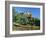 The Castle from Princes Street Gardens, Edinburgh, Lothian, Scotland, UK, Europe-Kathy Collins-Framed Photographic Print