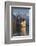 The Castle of Chillon, on Lake Geneva, Montreux, Canton Vaud, Switzerland, Europe-Angelo Cavalli-Framed Photographic Print