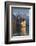 The Castle of Chillon, on Lake Geneva, Montreux, Canton Vaud, Switzerland, Europe-Angelo Cavalli-Framed Photographic Print