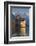 The Castle of Chillon, on Lake Geneva, Montreux, Canton Vaud, Switzerland, Europe-Angelo Cavalli-Framed Photographic Print