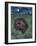 The Cat and the Moon-Hilary Jones-Framed Giclee Print