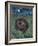 The Cat and the Moon-Hilary Jones-Framed Giclee Print