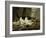 The Cat at Play, by Henriette Ronner, C. 1860-78, Belgian-Dutch Painting on Panel-Henriette Ronner-Framed Art Print