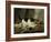 The Cat at Play, by Henriette Ronner, C. 1860-78, Belgian-Dutch Painting on Panel-Henriette Ronner-Framed Art Print