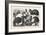 The Cat, Rabbit, and Guinea-Pig Show at the Alexandra Palace, 1876, Uk-null-Framed Giclee Print