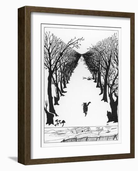 The Cat That Walked By Himself-null-Framed Photographic Print