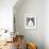 The Cat That Walked By Himself-null-Framed Photographic Print displayed on a wall