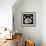 The Cat Unicorn in Sunglasses with a Color Donut is Sitting on the Cloud like a Couch. the Rainbow-null-Framed Photographic Print displayed on a wall