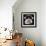 The Cat Unicorn in Sunglasses with a Color Donut is Sitting on the Cloud like a Couch. the Rainbow-null-Framed Photographic Print displayed on a wall